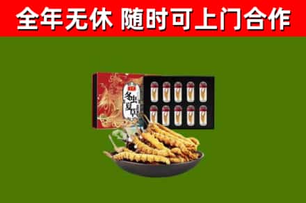 徐州市回收冬虫夏草价格
